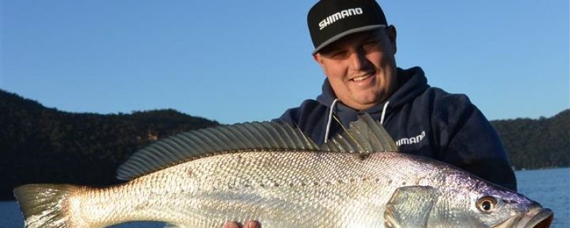 Mulloway on lures Sydney